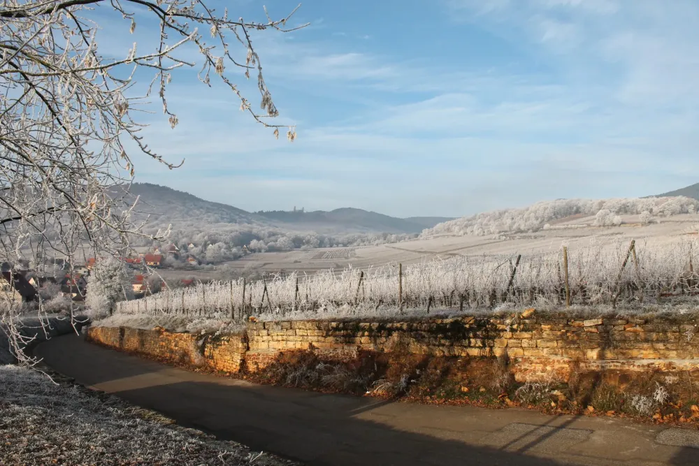 hiver