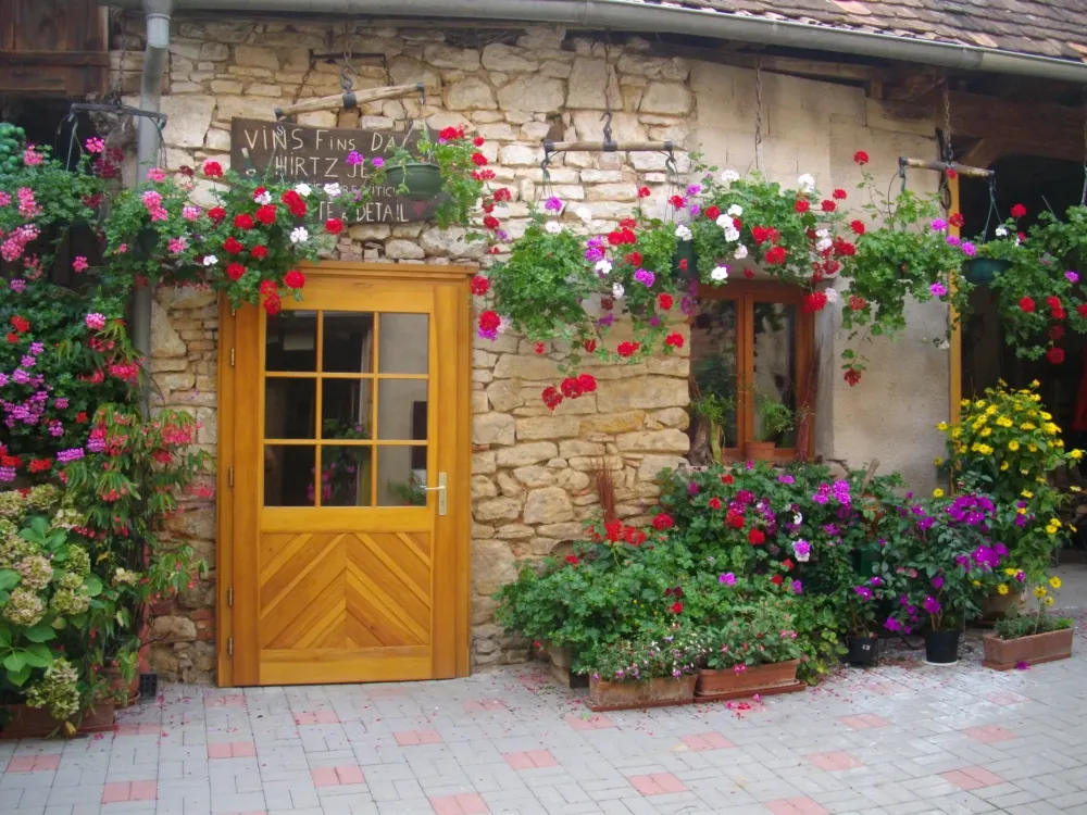 Domaine près de Barr