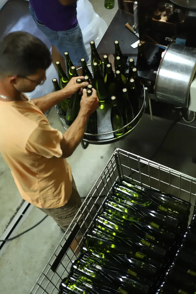 Crémant près de Barr