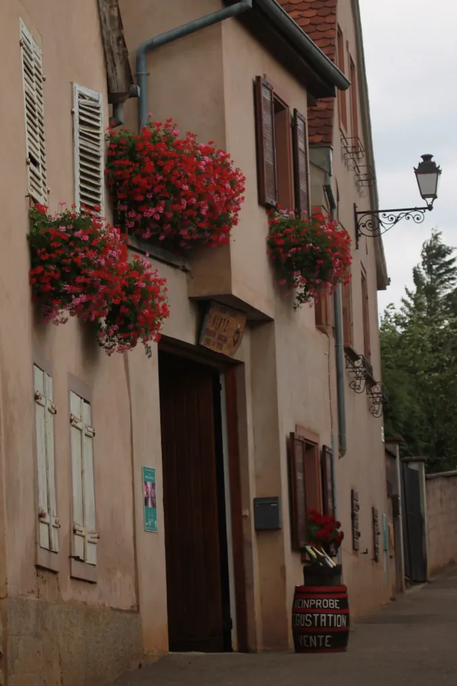 boutique