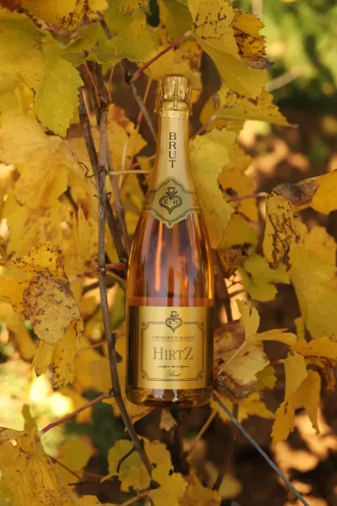 Photo Crémant d'Alsace Brut Rosé (webwebp