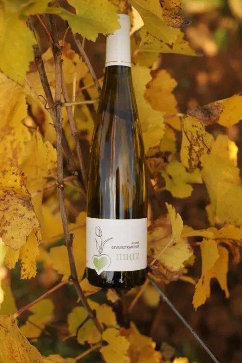 Photo Gewurztraminer (web)