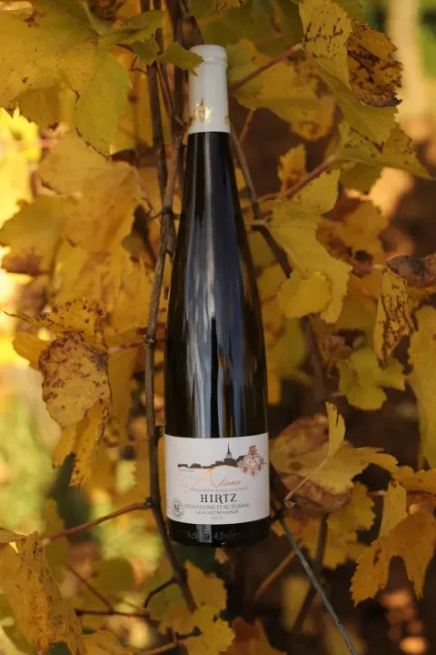 Photo Gewurztraminer Sensations d'Automne 2020 (web)