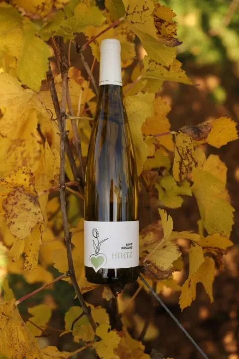 Photo Riesling (web)