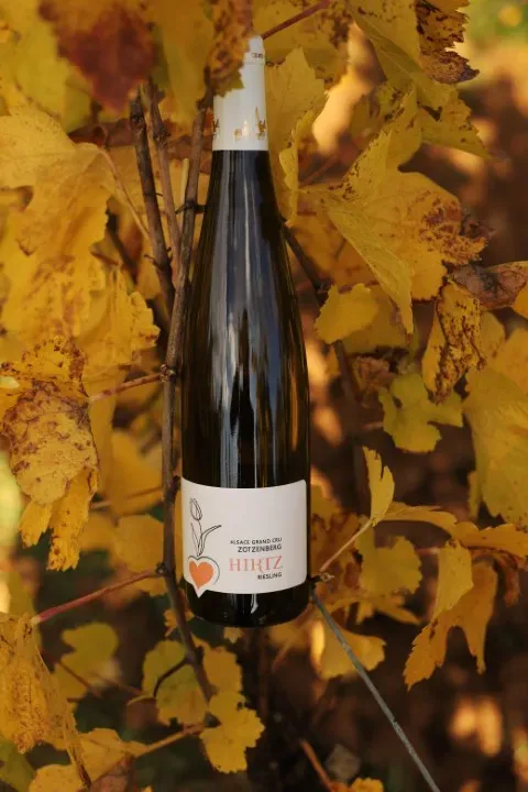 Photo Riesling Grand Cru Zotzenberg (web)