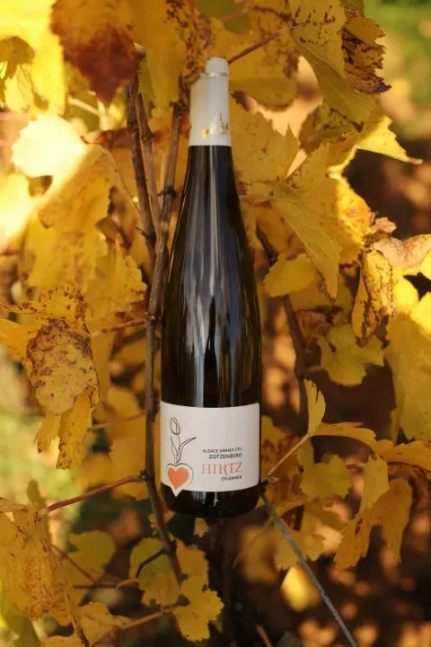 Photo Sylvaner Grand Cru Zotzenberg (web)