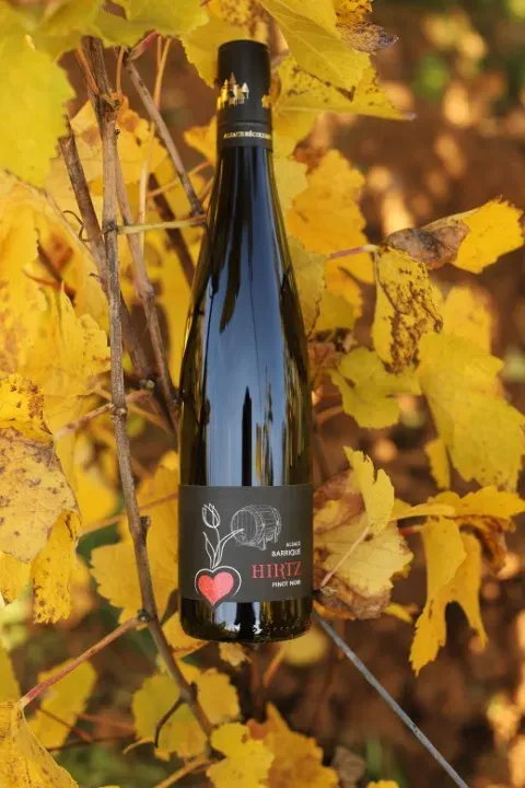 Pinot Noir Barrique (web)