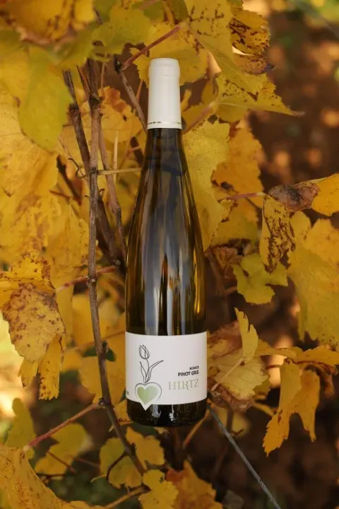 Photo Pinot Gris (web)